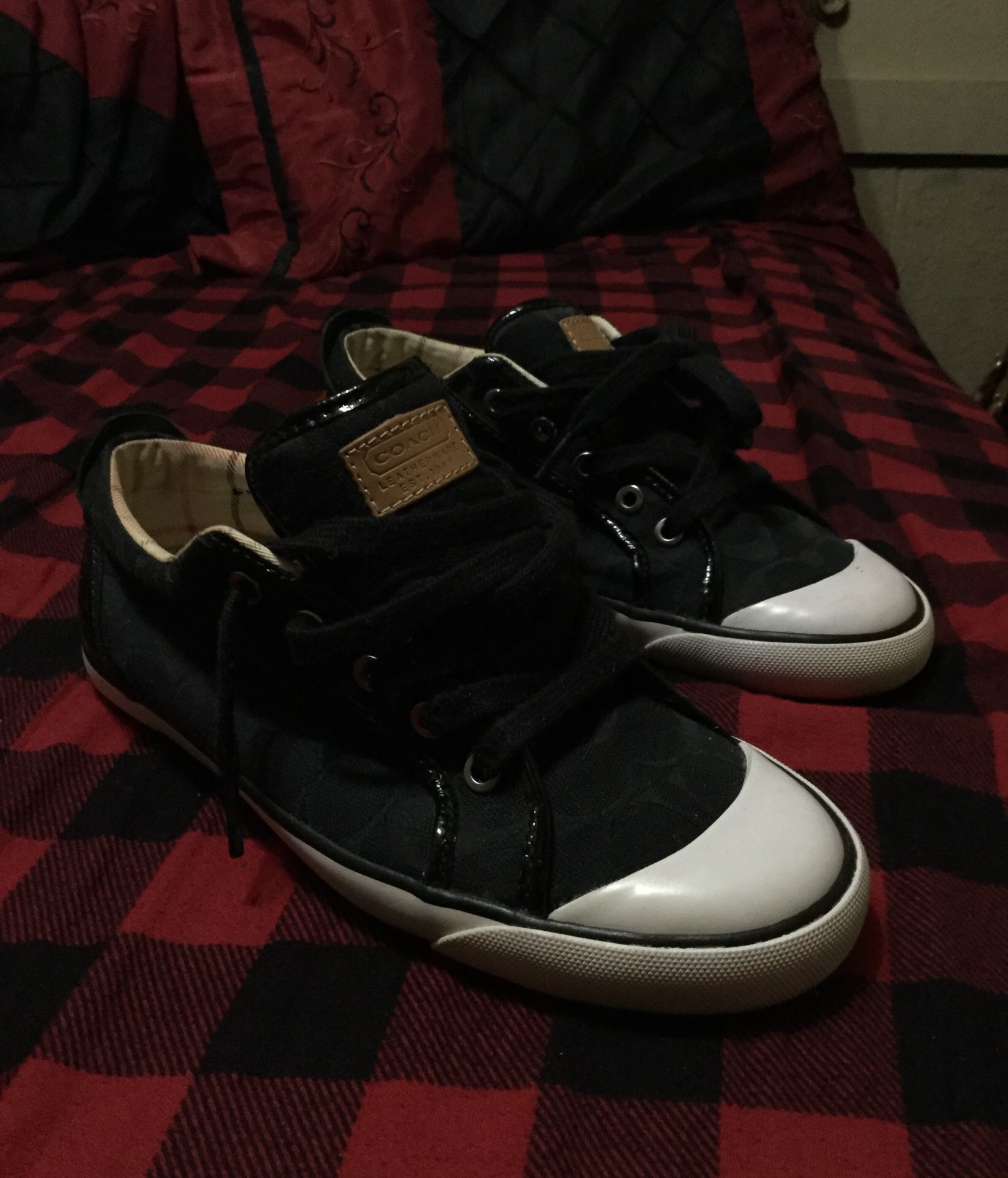 Coach sneakers ( converse style )