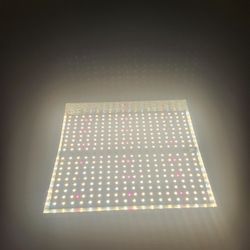 Medium Indoor Light For Plant Tent