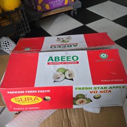 Exotic Tropical Fruits 