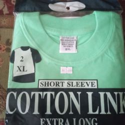 Men's Light Green 2 XL T - Shirt 