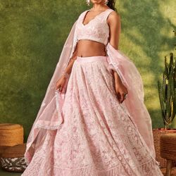 Light  Pink Embroidered Organza Lehenga Dress! 