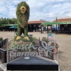 Busch Gardens!!! Tampa