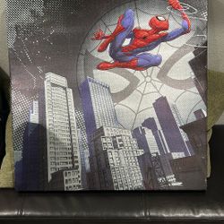 Spiderman Picture  Frame 