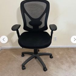Ergo Office Chair
