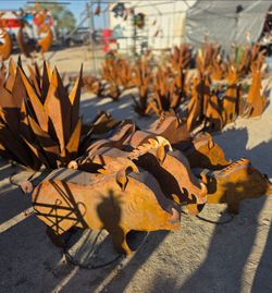 🪷Rustic handcrafted metal art decor🌵
Pottery,.flowers, cacti🐦birdbaths