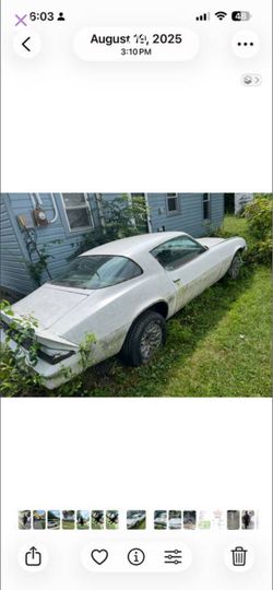1981 Chevrolet Camaro