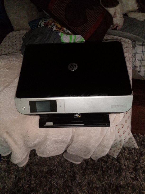 Hp Printer