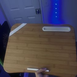 Laptop Beanbag Lap Desk