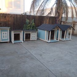Dog Houses 