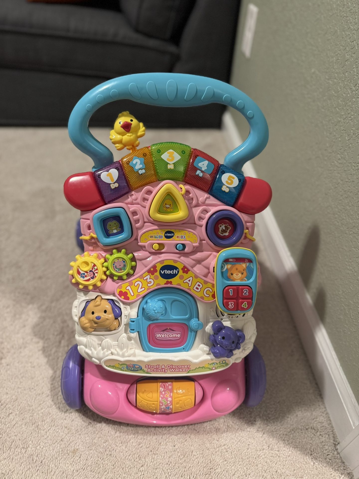 Stroll And Activity Walker