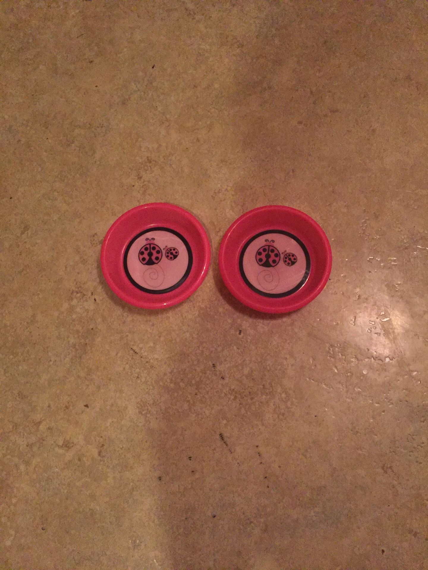 Small dog bowls