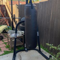 100lb Everlast Punching Bag