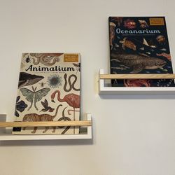 2 Hanging Shelves 