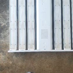 LED Shop Lights 