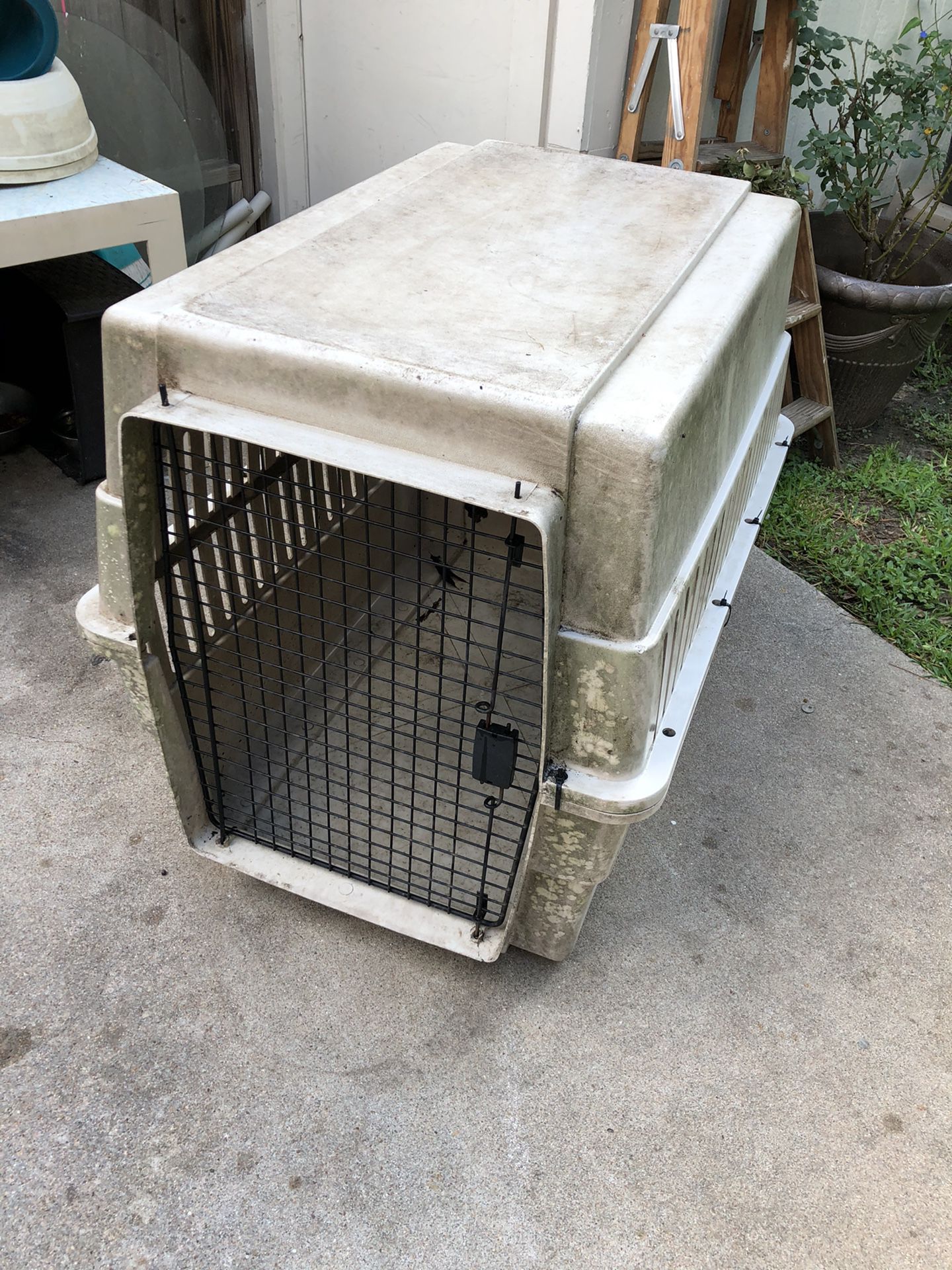 Dog crate- large-