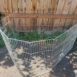 Dog Cage