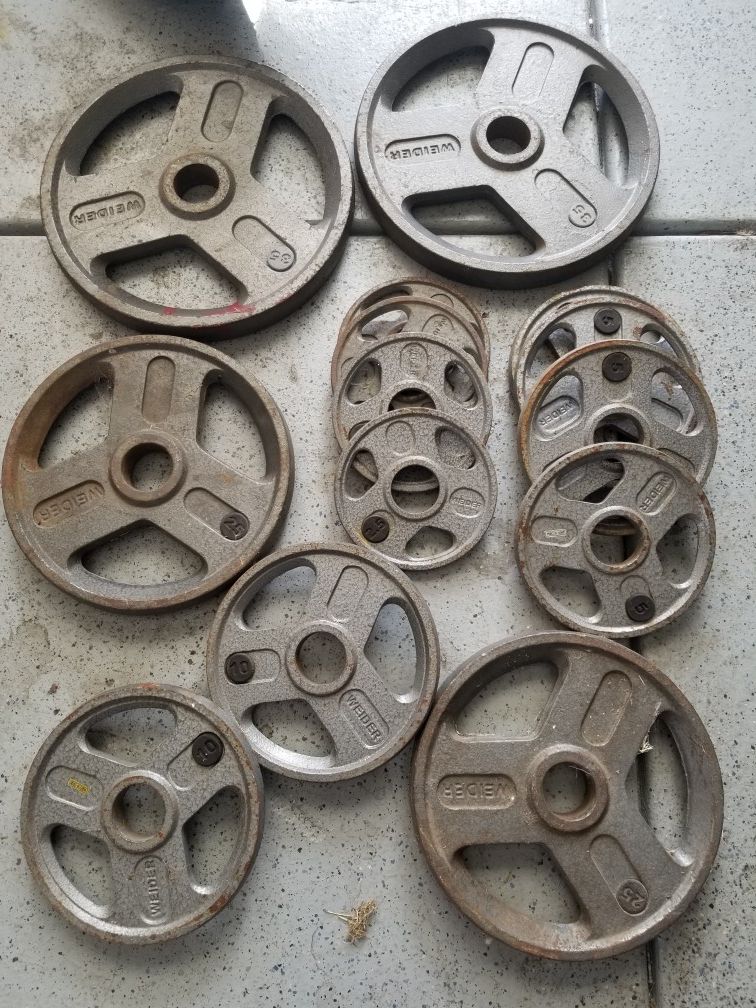 Olympic weights and curl bar