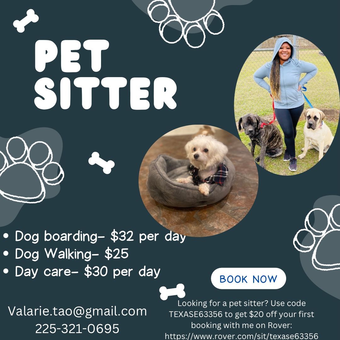 Dog Walkers Pet Sitting Agency Near Me Dog Walker Dog Sitter