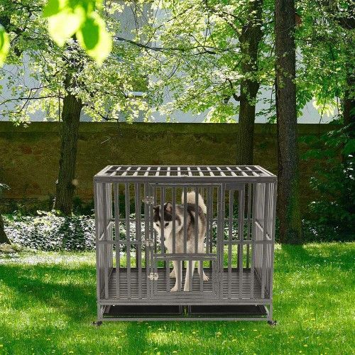 Dog Cage