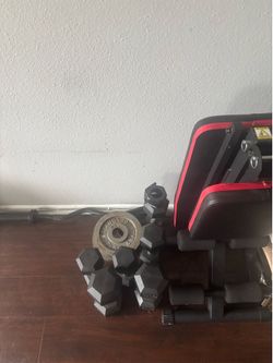 Weights/bench