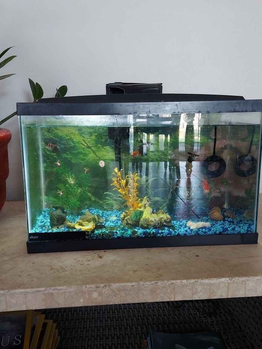 10 Gal. Fish Aquarium