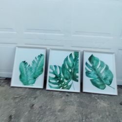 Plant pictures set