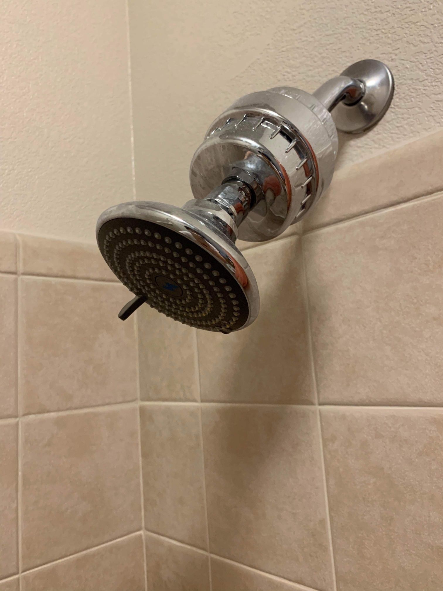 High pressure filtered shower head