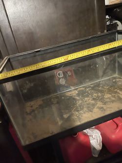 Reptile Tank