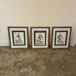 Framed Vintage Medical Prints 