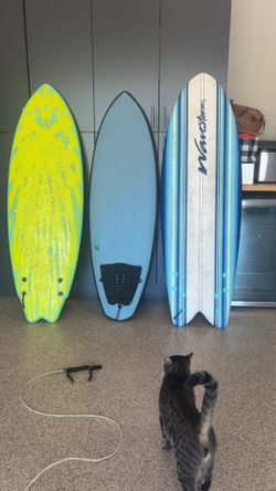 All 3 boards or singles