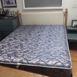 Free Queen Bedframe And Mattress