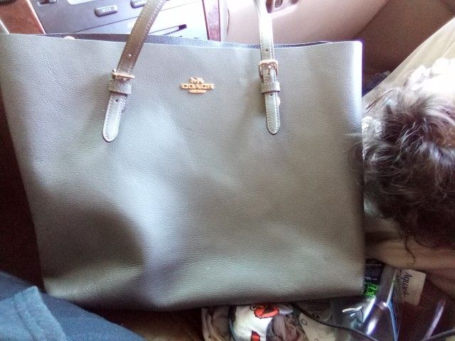 Coach Mollie Tote In Heather Grey