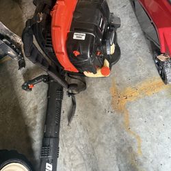 Echo Blower. Barely used. Like New. $200