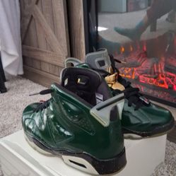 Air Jordan Champagne 6s