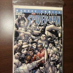 Spiderman Comic Book