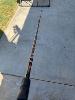Berkeley lightning casting rod