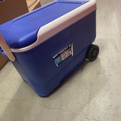 Cooler