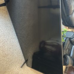 Insignia 65 Inch Tv (not working)