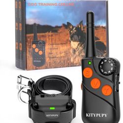 Shock Collar Dog Training 