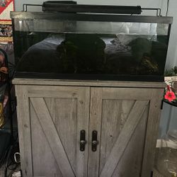 20 Gallon Fish Tank 