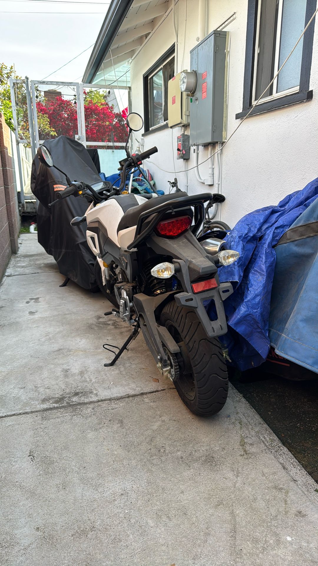 2023 Venom 125cc