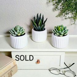 3pcSet Artificial Succulents in a Real Ceramic Vase 4" x 3"each,  CASH ONLY, PICKUP ONLY -  fake plants faux plants flowers boho cactus cacti 