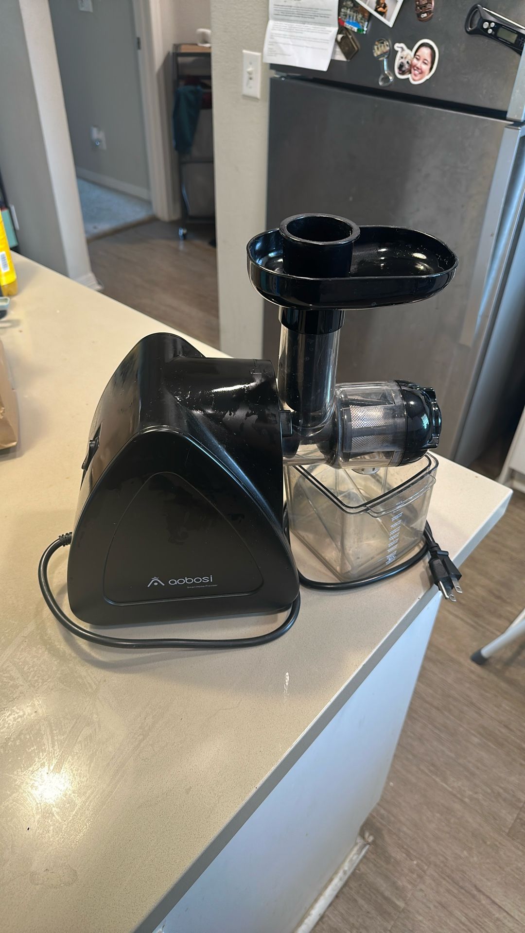 Cold Press Juicer  - Aobosi