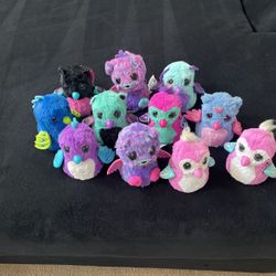 Hatchimals 11 In Total 