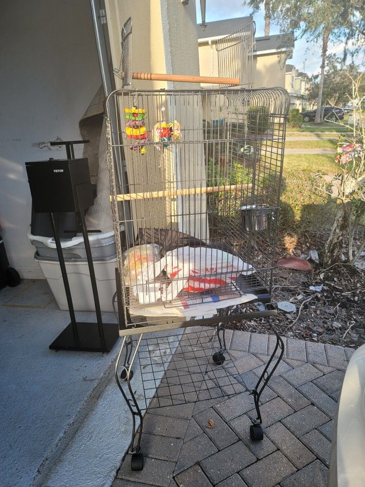 Bird Cage