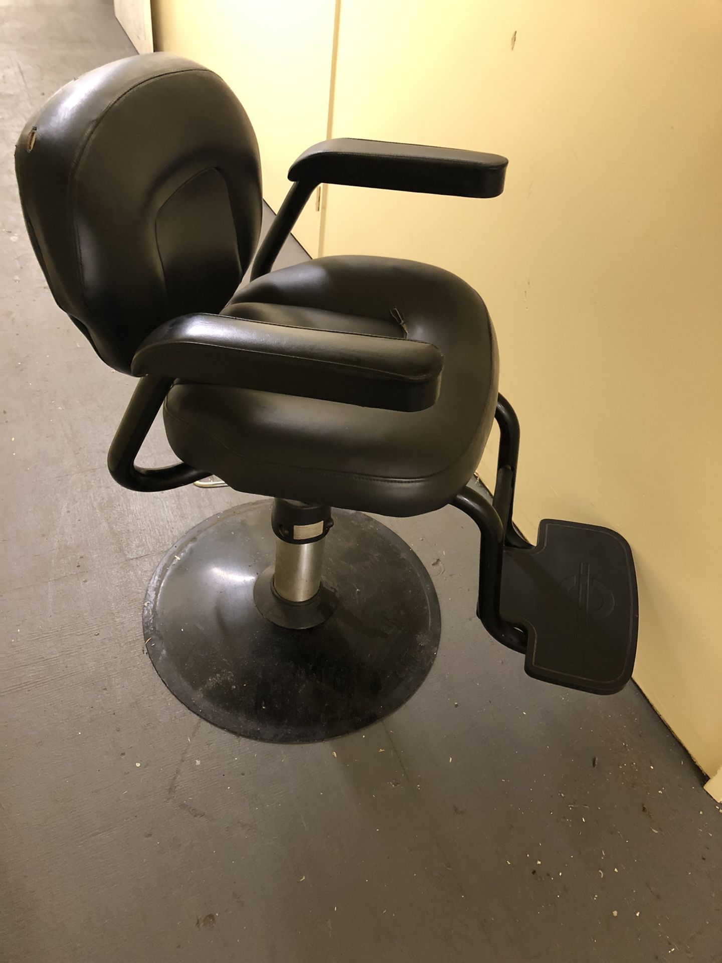 Salon / Barber Chair