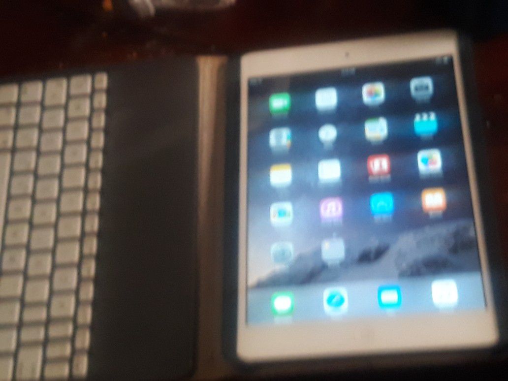 Mini iPad 1g