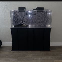 55 Gallon Fish Tank