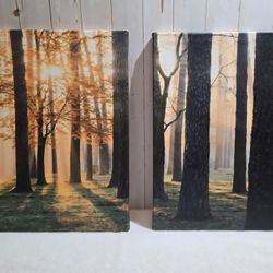 "Walk Thru The Woods" Two Piece Canvas Set 16x24