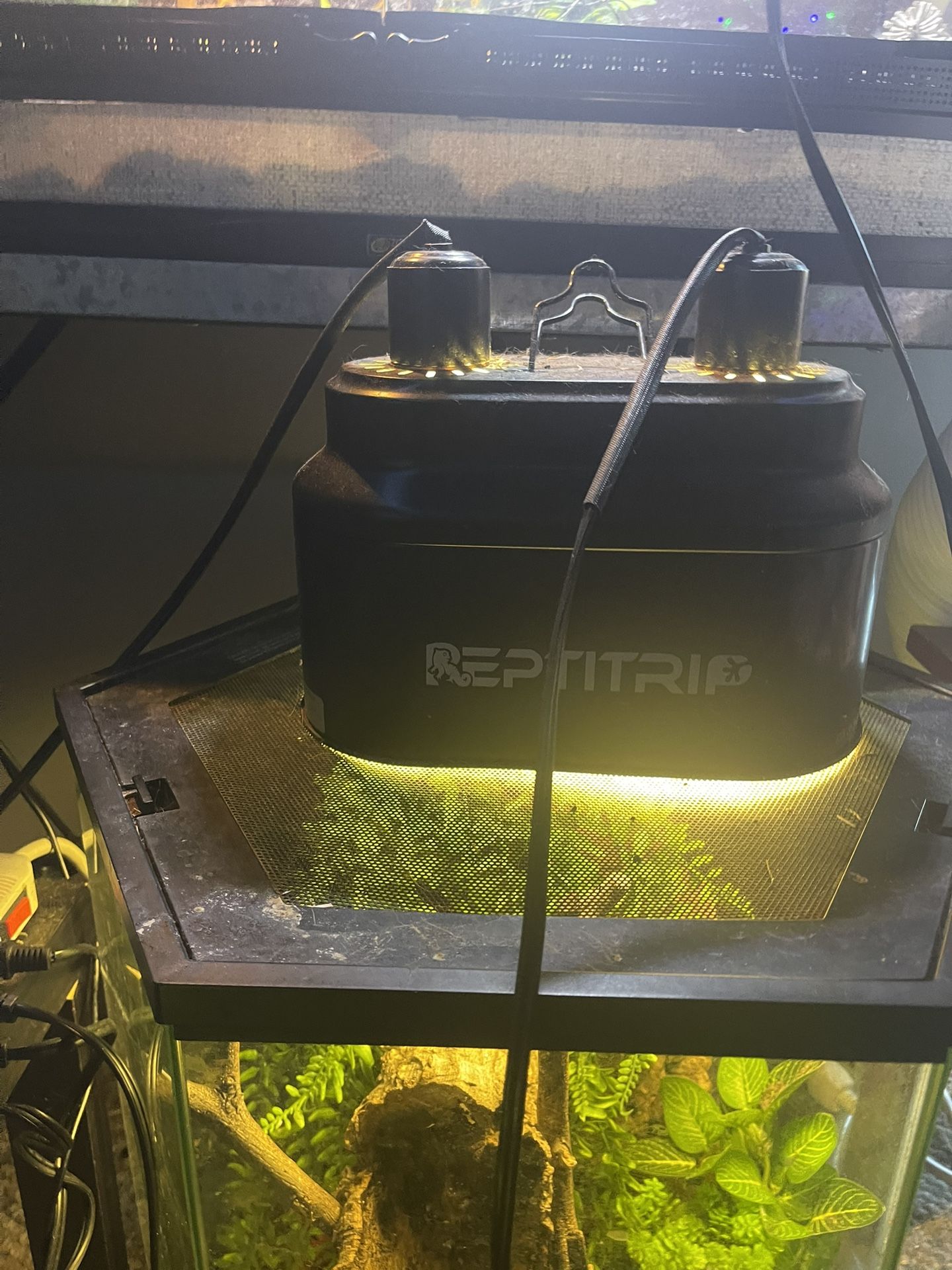 Reptitrip Reptile Lamp
